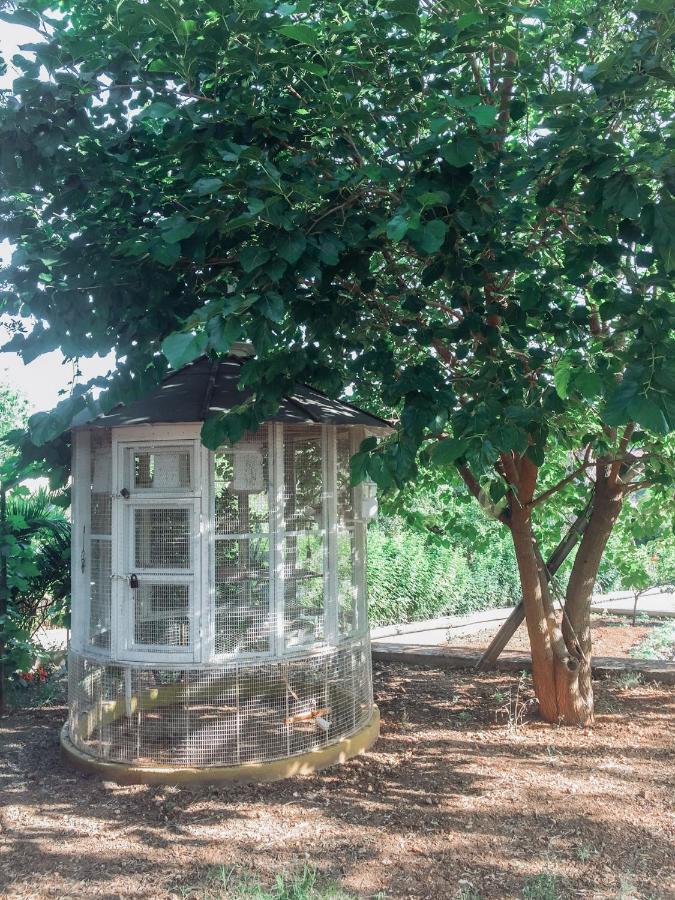 Agrilia Maison Razata Ngoại thất bức ảnh